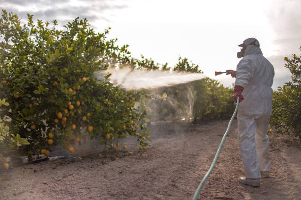 Pest Prevention Services in Covington, OH