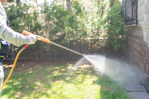 Best Pest Control for Restaurants  in Covington, OH