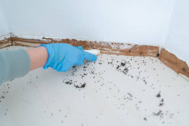 Pest Control for Restaurants in Covington, OH